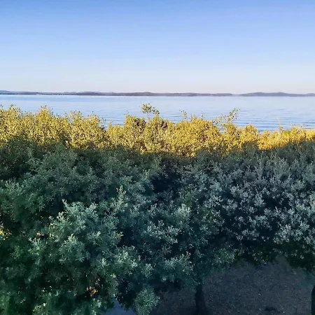 Holiday home House Petrcane