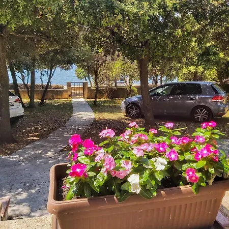 Holiday home House Petrcane